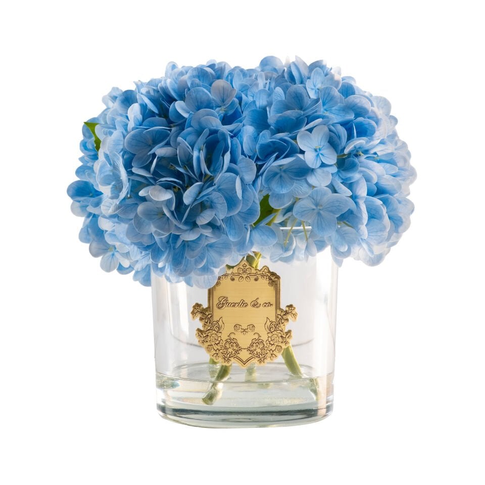 Guerlie&co. Mavi Ortanca Gold