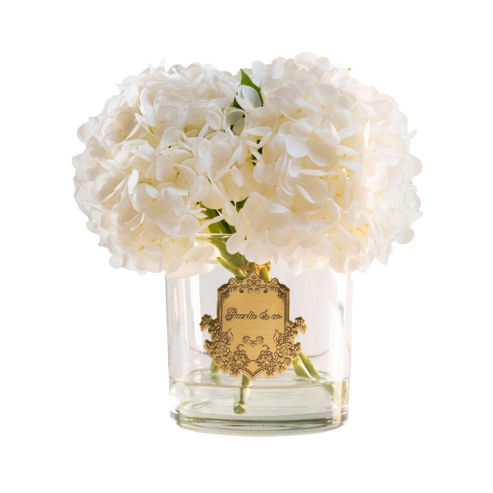 Guerlie&co. Beyaz Ortanca Gold