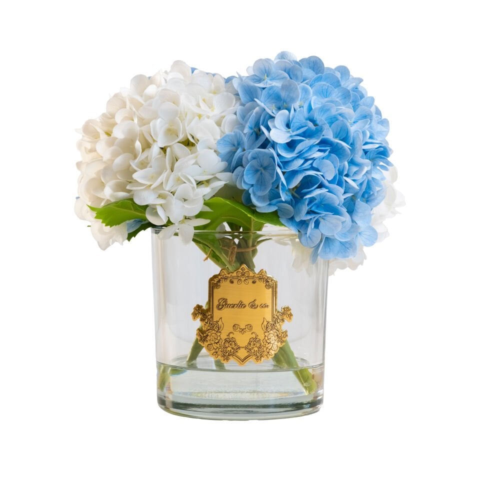 Guerlie&co. Mavi/Beyaz Ortanca Gold